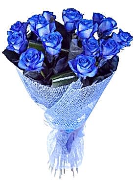 15 Harika Mavi Gül Demeti