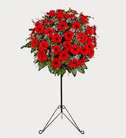 Kırmızı Kuğu Ferforje