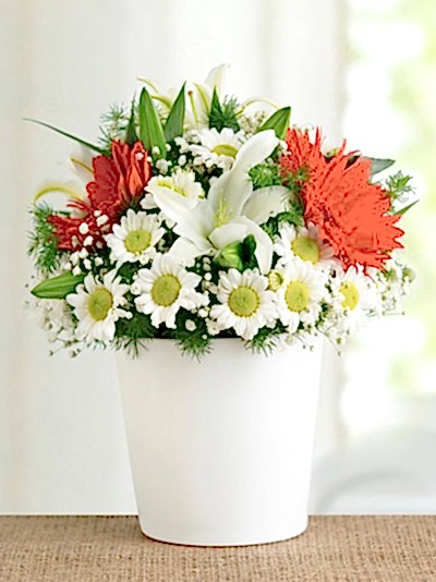 Seramik Vazo Papatyalar