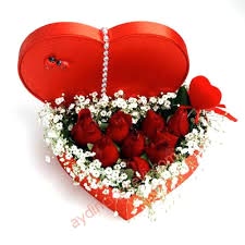 Kalbimin Sahibine 9 Gül