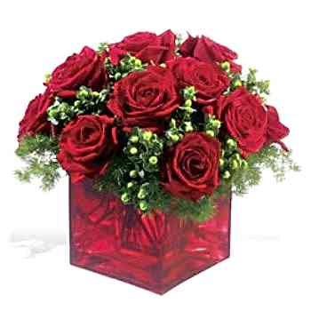 KARE VAZO 15 KIRMIZI GÜL