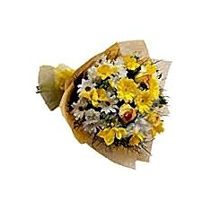 RENKLİ MEVSİM ÇİÇEKLERİ