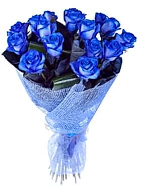 15 Harika Mavi Gül Demeti