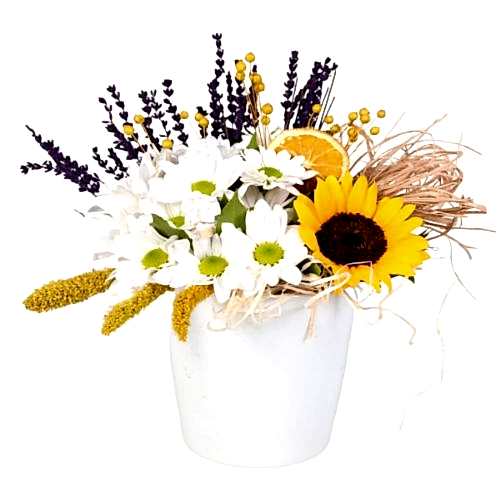 Seramik Vazoda Papatya ve Günebakan