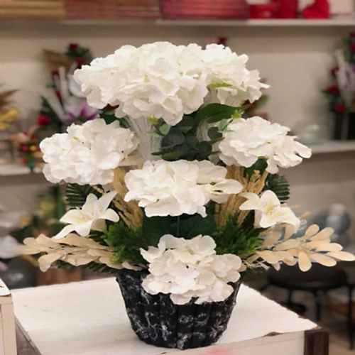 Büyük Dev Ortanca Saksı