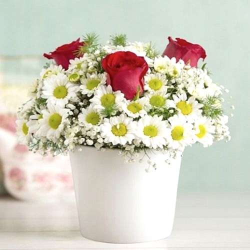 Seramik Vazoda Papatya ve 3 gül