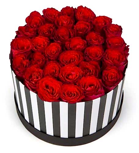 27 Güllü Zebra Kutu