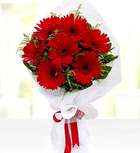 Kampanyalı  Sevgi Yumağı