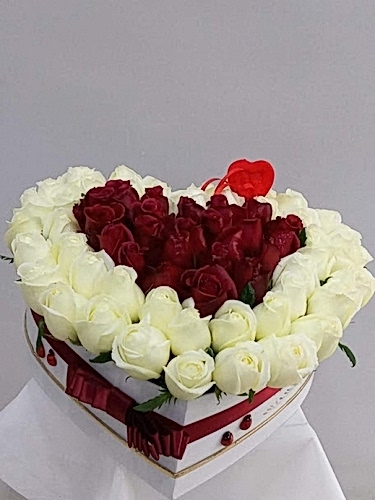 Kırmızı Beyaz Kalp