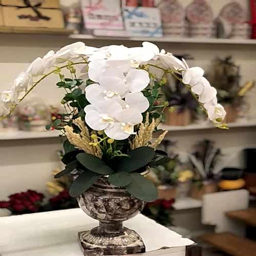 Dört Dal Süper Orkide Tasarım