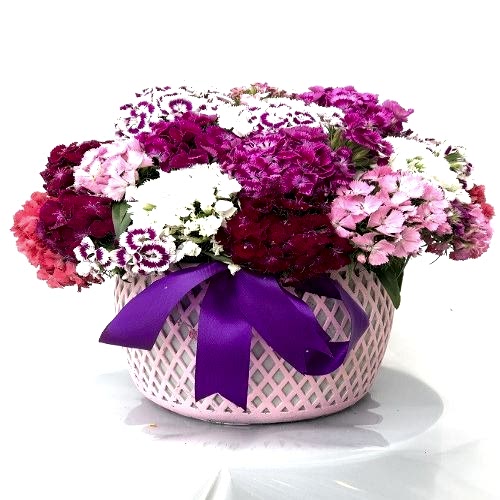 Seramik Vazoda Hüsnü Yusuf 