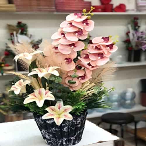 Sarhoş Orkide Süper Vazolu