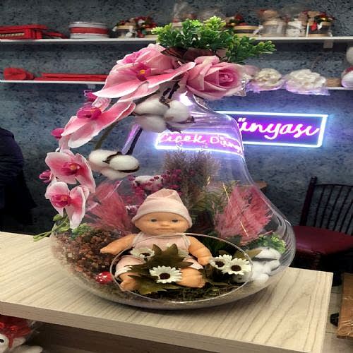 Büyük Boy Kız Bebek Teraryum