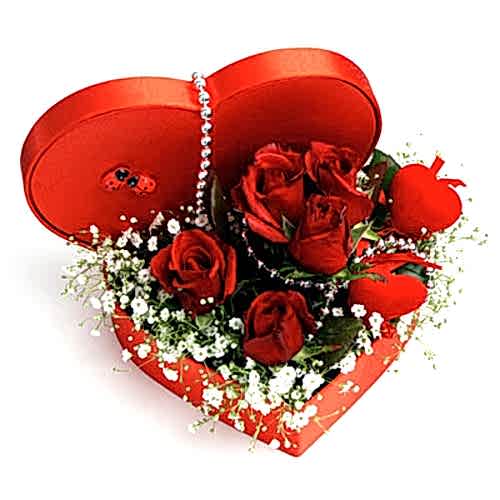  Kalbim Senin 5 Güllü