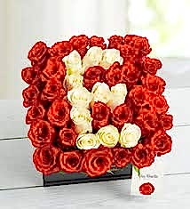  SEVGİNİN BAŞ HARFİ