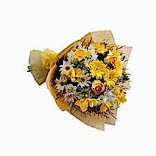 RENKLİ MEVSİM ÇİÇEKLERİ