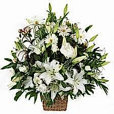 ÇOK ASİL SÜPER ARAJMAN 